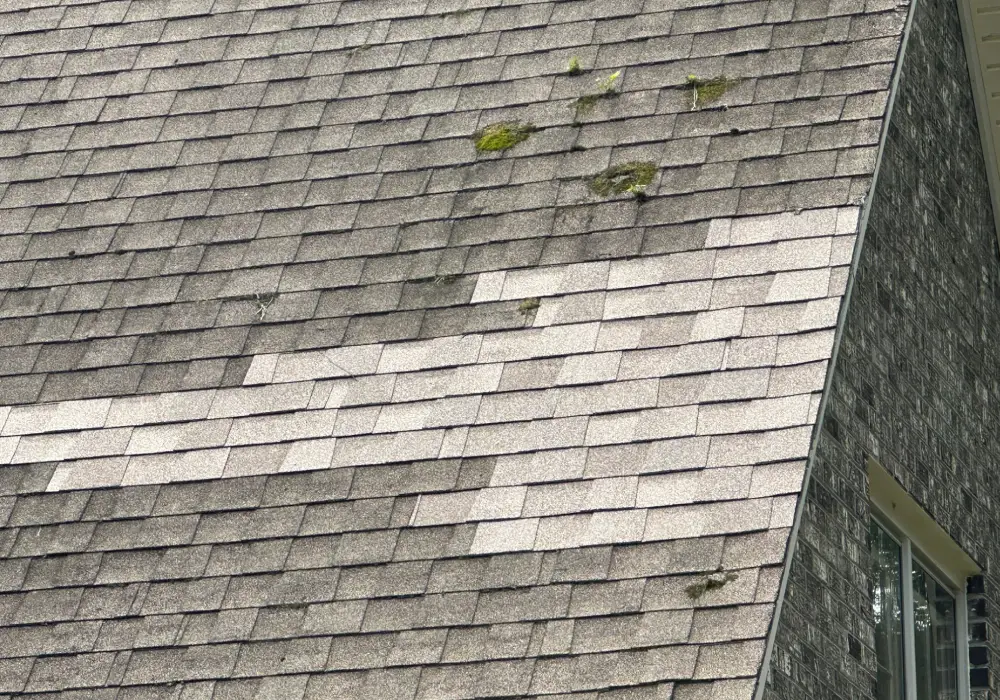 Shingle